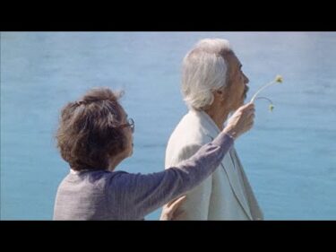 米津玄師 MV「カナリヤ」