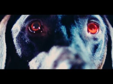 back number – エメラルド (TBS系 日曜劇場『危険なビーナス』主題歌)